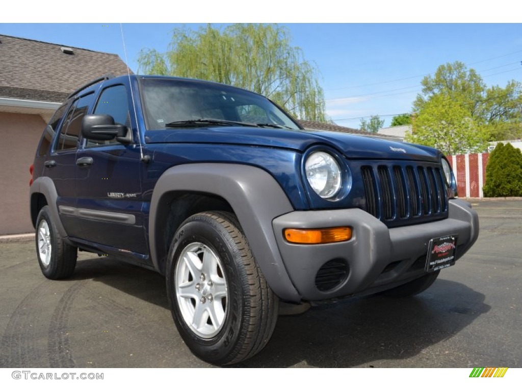 2002 Liberty Sport 4x4 - Patriot Blue Pearlcoat / Dark Slate Gray photo #12