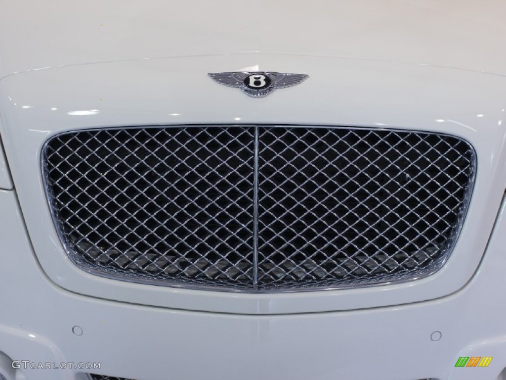 2005 Bentley Continental GT Mansory GT63 Front Grill Photo #63924745