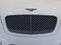 Front Grill 2005 Bentley Continental GT Mansory GT63 Parts