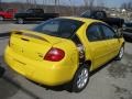 2004 Solar Yellow Dodge Neon SXT  photo #6
