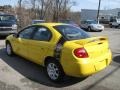 2004 Solar Yellow Dodge Neon SXT  photo #8