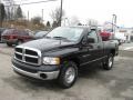 2004 Black Dodge Ram 1500 ST Regular Cab  photo #4