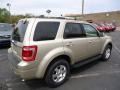 2012 Gold Leaf Metallic Ford Escape Limited 4WD  photo #2