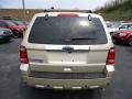 2012 Gold Leaf Metallic Ford Escape Limited 4WD  photo #3