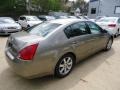 2005 Spirited Bronze Pearl Nissan Maxima 3.5 SL  photo #3