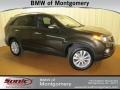 Java Brown - Sorento EX Photo No. 1