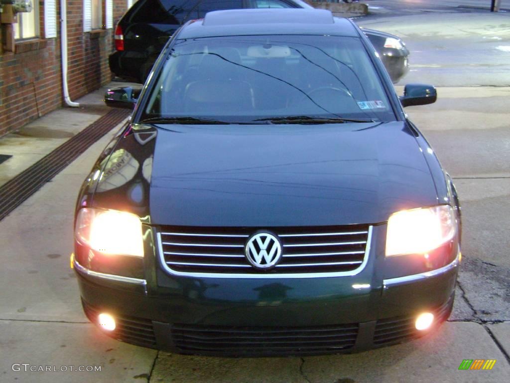 2001 Passat GLX Sedan - Pine Green Metallic / Black photo #6