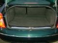 2001 Pine Green Metallic Volkswagen Passat GLX Sedan  photo #19