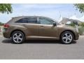 Golden Umber Mica - Venza V6 AWD Photo No. 2