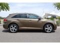 Golden Umber Mica - Venza V6 AWD Photo No. 9