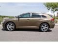 Golden Umber Mica - Venza V6 AWD Photo No. 11