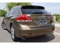 Golden Umber Mica - Venza V6 AWD Photo No. 13