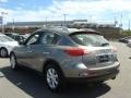 2010 Platinum Graphite Infiniti EX 35 Journey AWD  photo #4