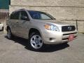 Savannah Metallic - RAV4 4WD Photo No. 1