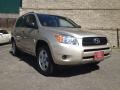 Savannah Metallic - RAV4 4WD Photo No. 6