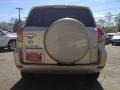 Savannah Metallic - RAV4 4WD Photo No. 8