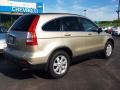 2007 Borrego Beige Metallic Honda CR-V EX-L 4WD  photo #3