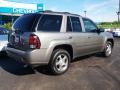 2009 Graystone Metallic Chevrolet TrailBlazer LT 4x4  photo #3