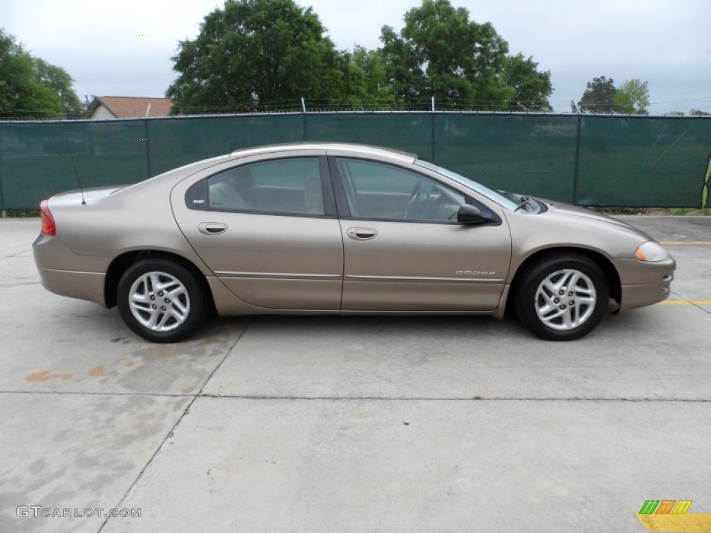 2001 Intrepid SE - Cinnamon Glaze Metallic / Taupe photo #2