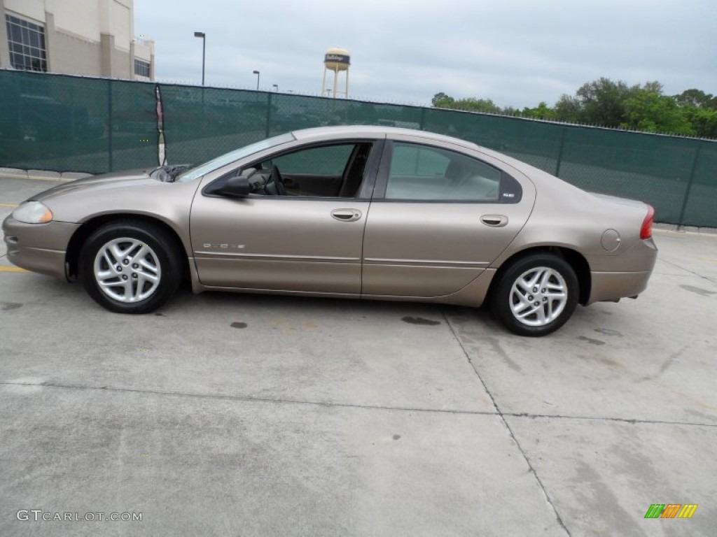 2001 Intrepid SE - Cinnamon Glaze Metallic / Taupe photo #6