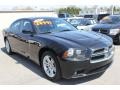 Brilliant Black Crystal Pearl - Charger Rallye Photo No. 15