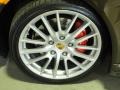 Macadamia Metallic - 911 Targa 4S Photo No. 34