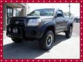 Magnetic Gray Metallic - Tacoma Regular Cab 4x4 Photo No. 8