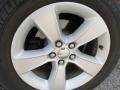 Tungsten Metallic - Charger SE Photo No. 11