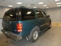Pacific Green Metallic - Expedition XLT 4x4 Photo No. 4
