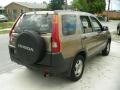 Mojave Mist Metallic 2004 Honda CR-V LX
