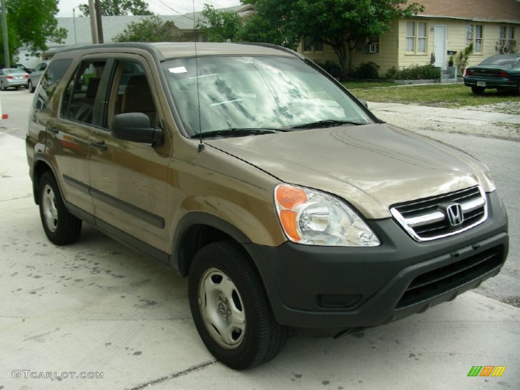 2004 CR-V LX - Mojave Mist Metallic / Black photo #2