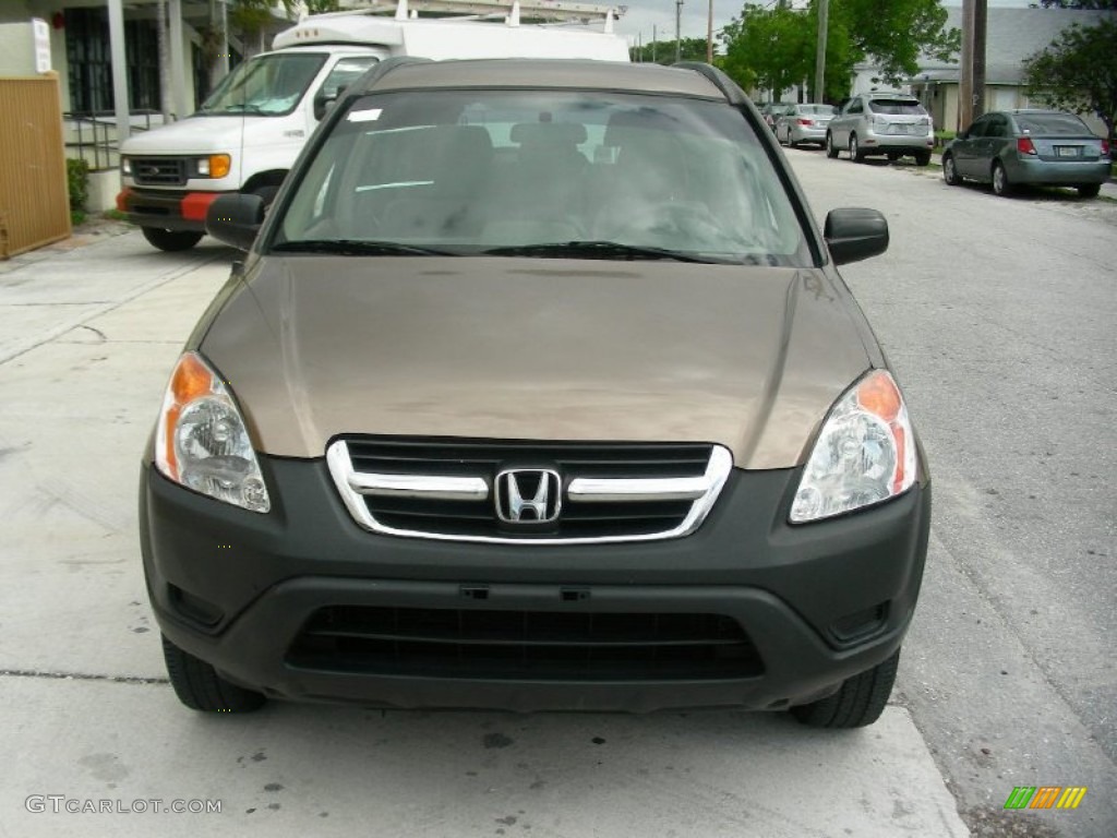 2004 CR-V LX - Mojave Mist Metallic / Black photo #3