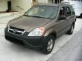 Mojave Mist Metallic - CR-V LX Photo No. 4