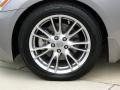 Platinum Graphite Gray - G 35 Sedan Photo No. 39