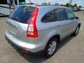 2009 Alabaster Silver Metallic Honda CR-V EX-L  photo #6