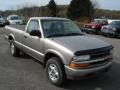 Light Pewter Metallic 1999 Chevrolet S10 LS Regular Cab 4x4