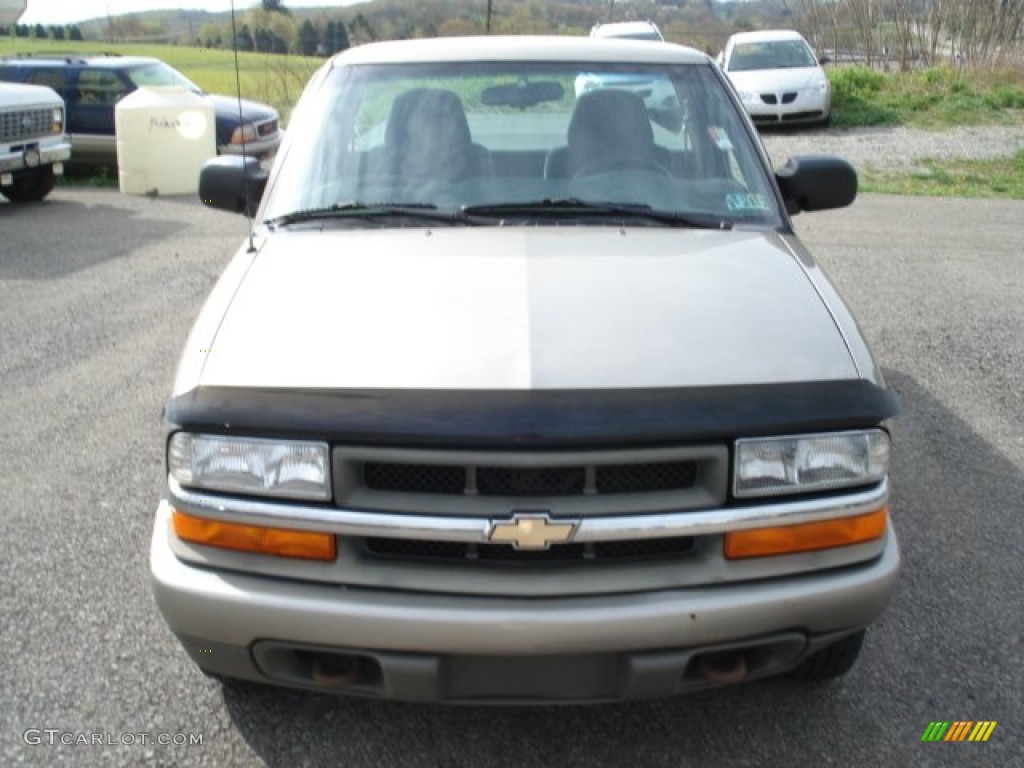 1999 S10 LS Regular Cab 4x4 - Light Pewter Metallic / Medium Gray photo #2