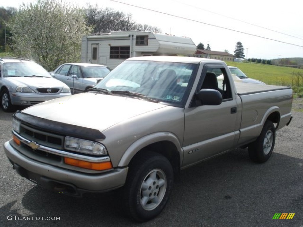 1999 S10 LS Regular Cab 4x4 - Light Pewter Metallic / Medium Gray photo #3
