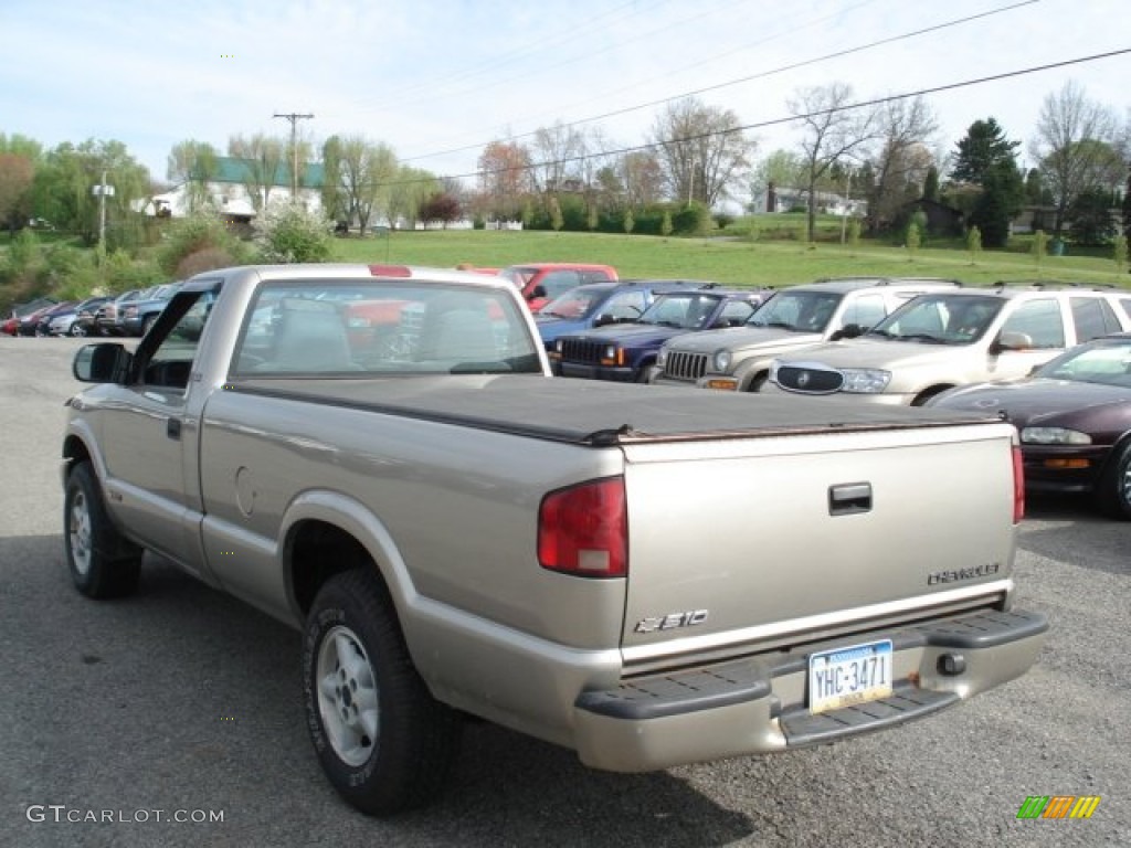 1999 S10 LS Regular Cab 4x4 - Light Pewter Metallic / Medium Gray photo #4