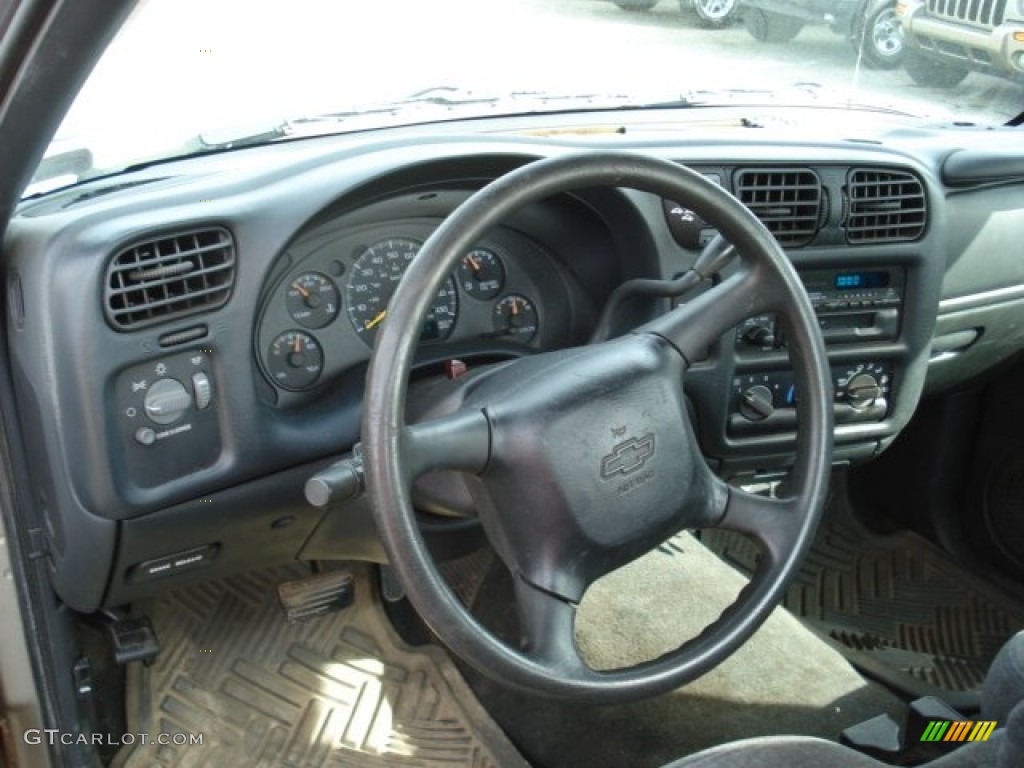 1999 S10 LS Regular Cab 4x4 - Light Pewter Metallic / Medium Gray photo #8