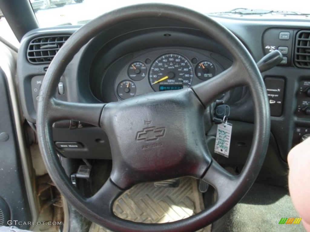 1999 S10 LS Regular Cab 4x4 - Light Pewter Metallic / Medium Gray photo #13
