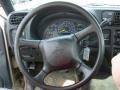 1999 Light Pewter Metallic Chevrolet S10 LS Regular Cab 4x4  photo #13