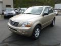 Sand Beige - Sorento LX 4x4 Photo No. 3