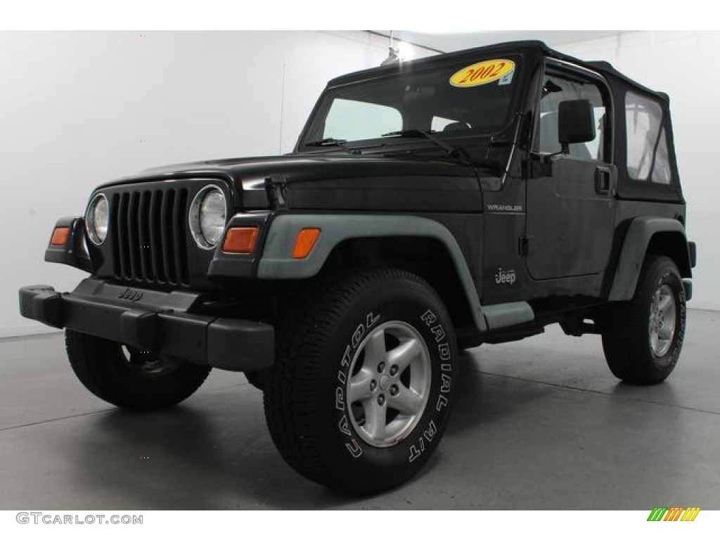 2002 Wrangler SE 4x4 - Black / Agate Black photo #1