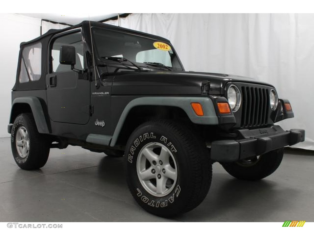 2002 Wrangler SE 4x4 - Black / Agate Black photo #3