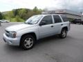 Silverstone Metallic - TrailBlazer LS 4x4 Photo No. 1