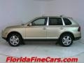 2004 Prosecco Metallic Porsche Cayenne S  photo #3