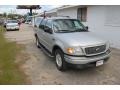 2002 Silver Metallic Ford Expedition XLT  photo #3