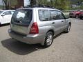 Champagne Gold Opalescent - Forester 2.5 XS L.L.Bean Edition Photo No. 7
