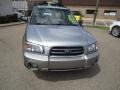 Champagne Gold Opalescent - Forester 2.5 XS L.L.Bean Edition Photo No. 11